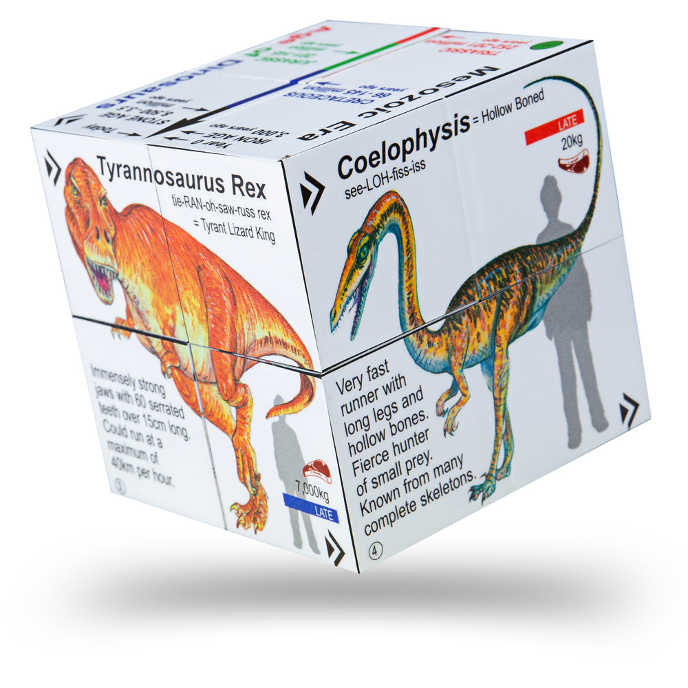 ZooBooKoo Dinosaurs - T-Rex & Friends Cube Book