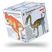 ZooBooKoo Dinosaurs - T-Rex & Friends Cube Book