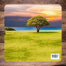 Duffy&Porter Safari Play Scene