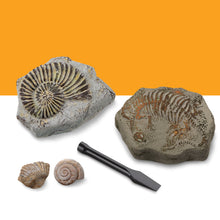 Discovery #MINDBLOWN Toy Excavation Kit Mini Fossil 2pc