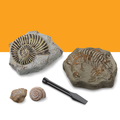 Discovery #MINDBLOWN Toy Excavation Kit Mini Fossil 2pc