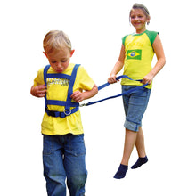 Horse Harness
