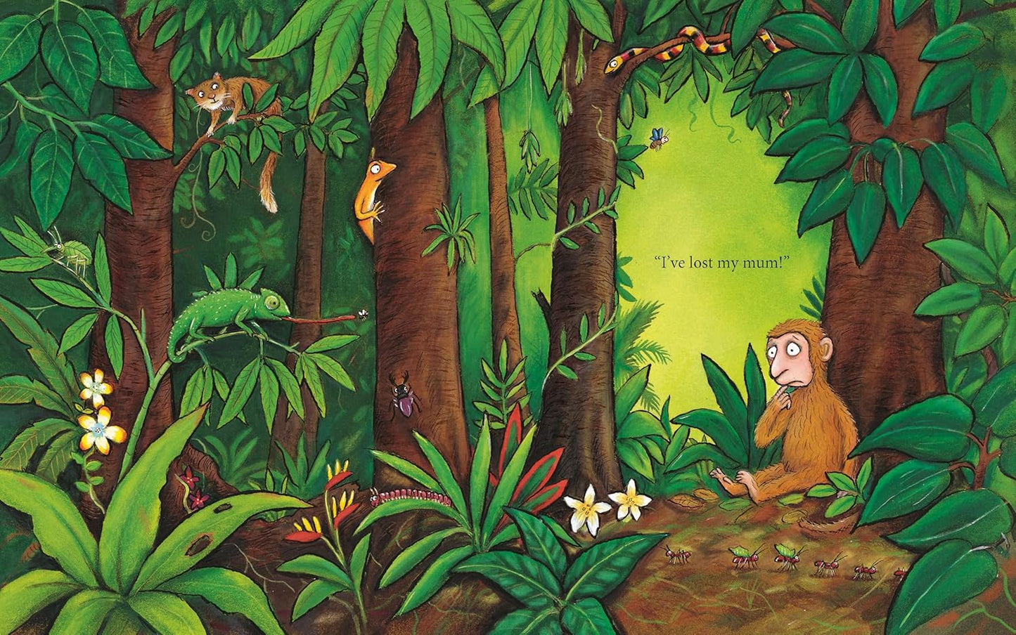 Monkey Puzzle Julia Donaldson Picture Book
