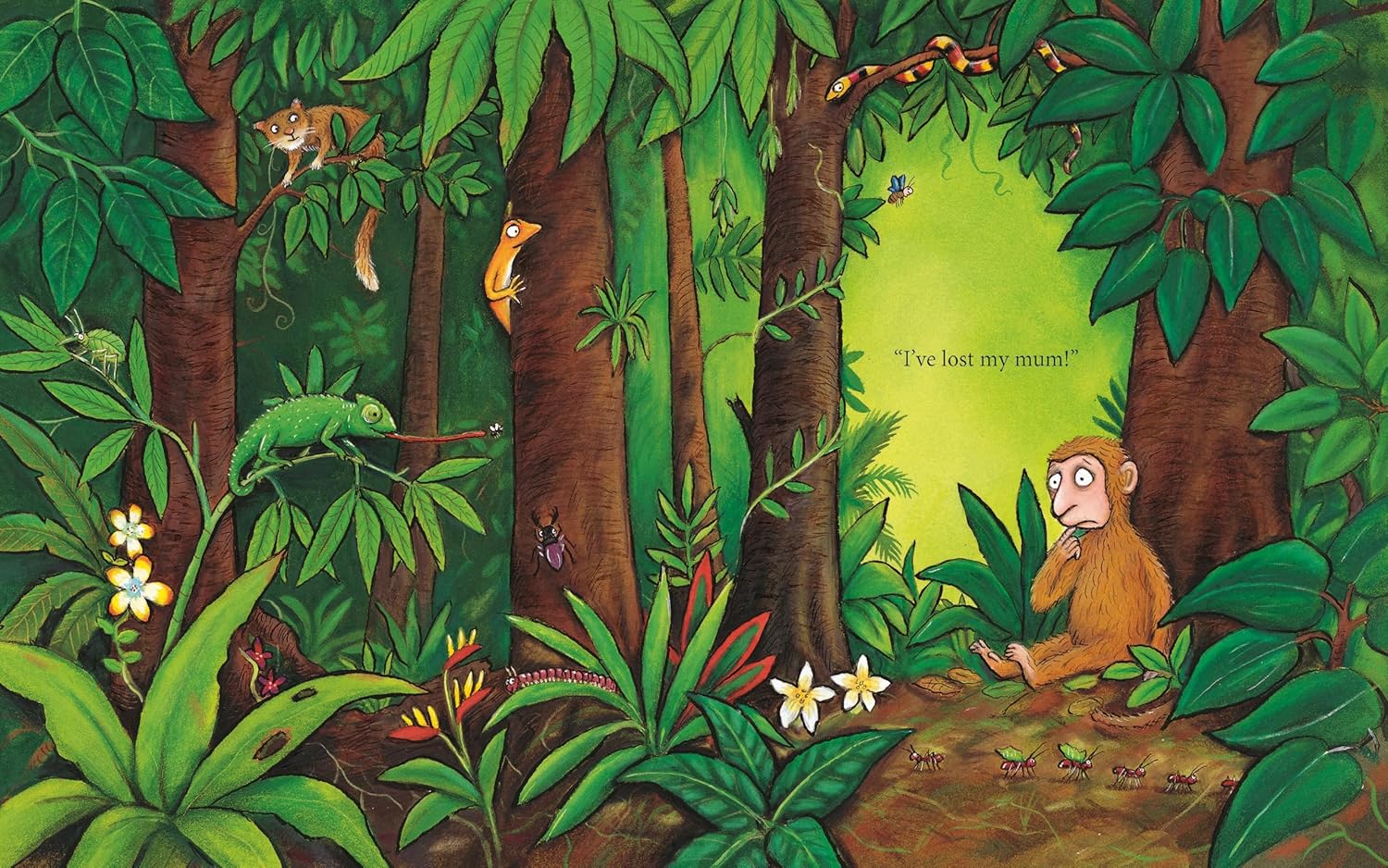 Monkey Puzzle Julia Donaldson Picture Book