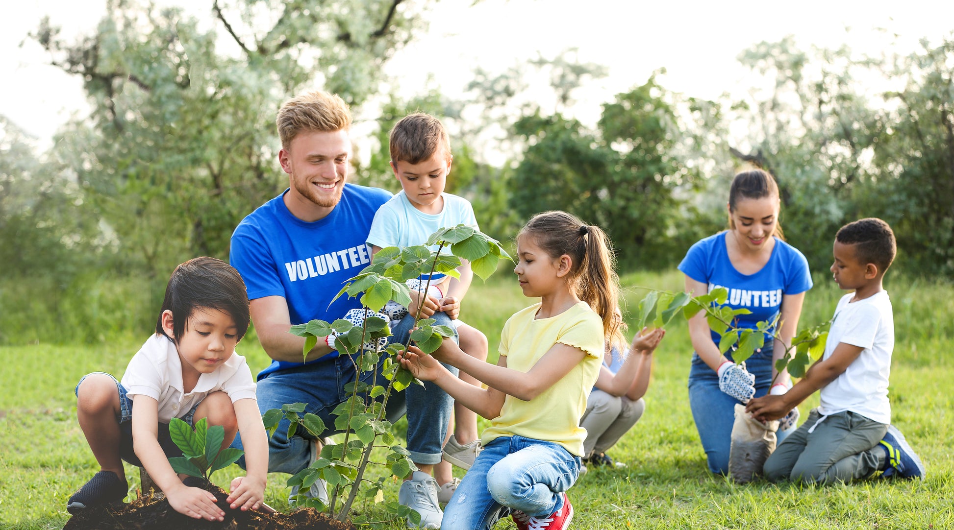 Wild Environmental Science Climate Change