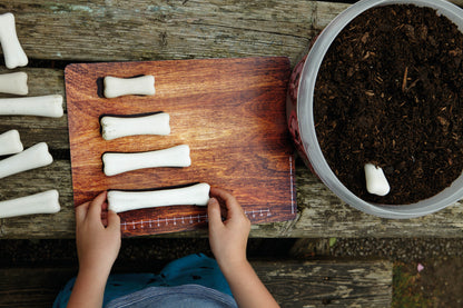 Yellow Door Dinosaur Bones Match and Measure Activity Cards