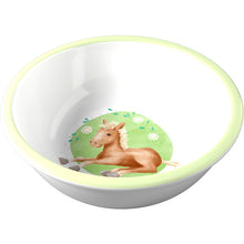Haba Horses Bowl
