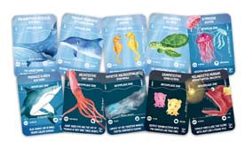 Hape Glow in the Dark Ocean Life Puzzle
