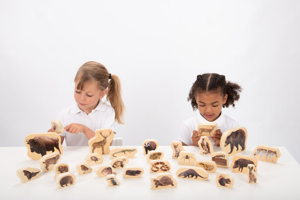 TickiT Wooden Forest Animals Blocks