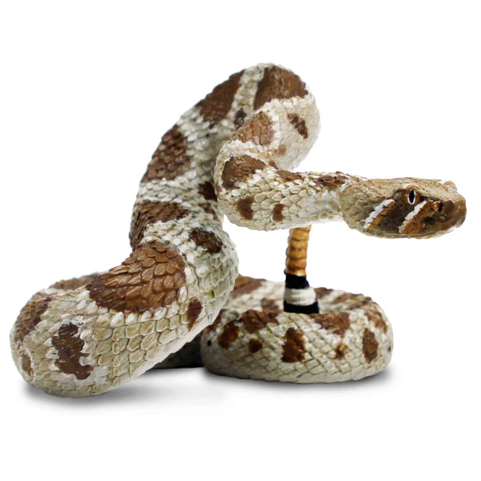 Safari Western Diamondback Rattlesnake *