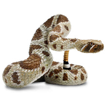 Safari Western Diamondback Rattlesnake *