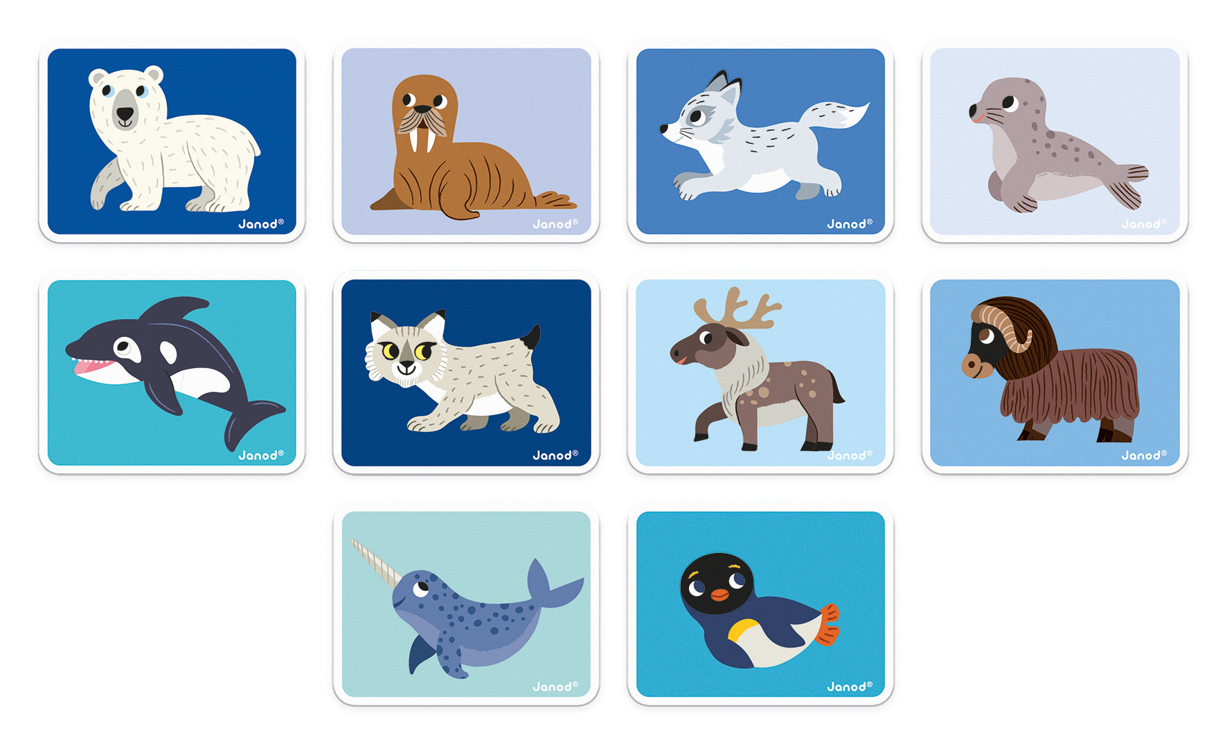 Janod Magneti'Book Polar Animals