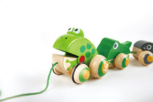 Hape Pull-Along Frog Family