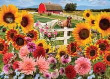 Cobble Hill Puzzles 1000 Pieces Sunflower Farm