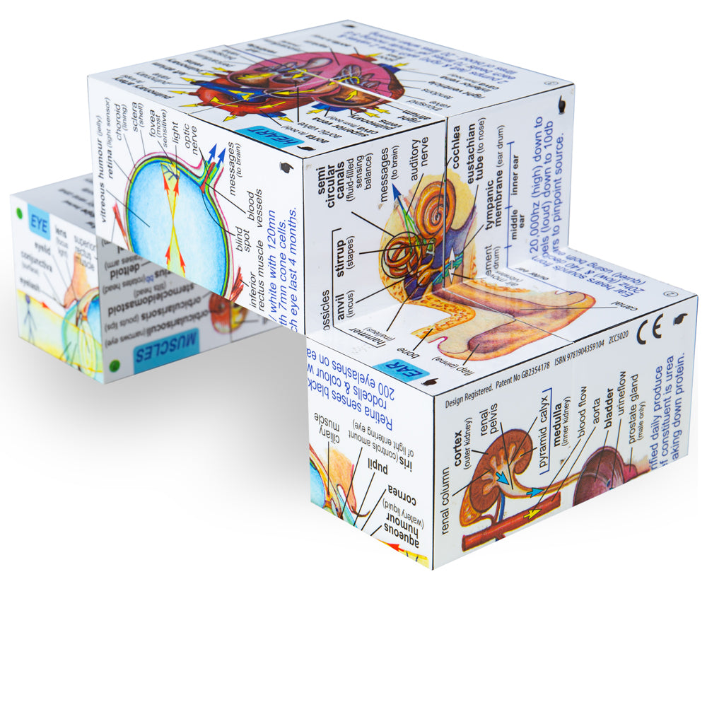 ZooBooKoo Human Body Cube Book