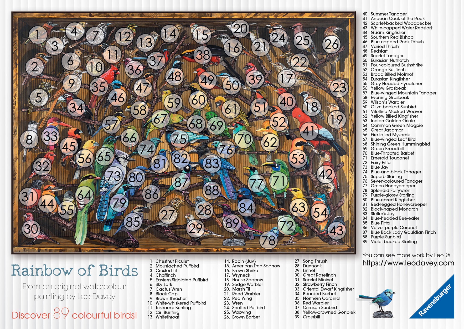 Ravensburger Rainbow of Birds, 1000pc