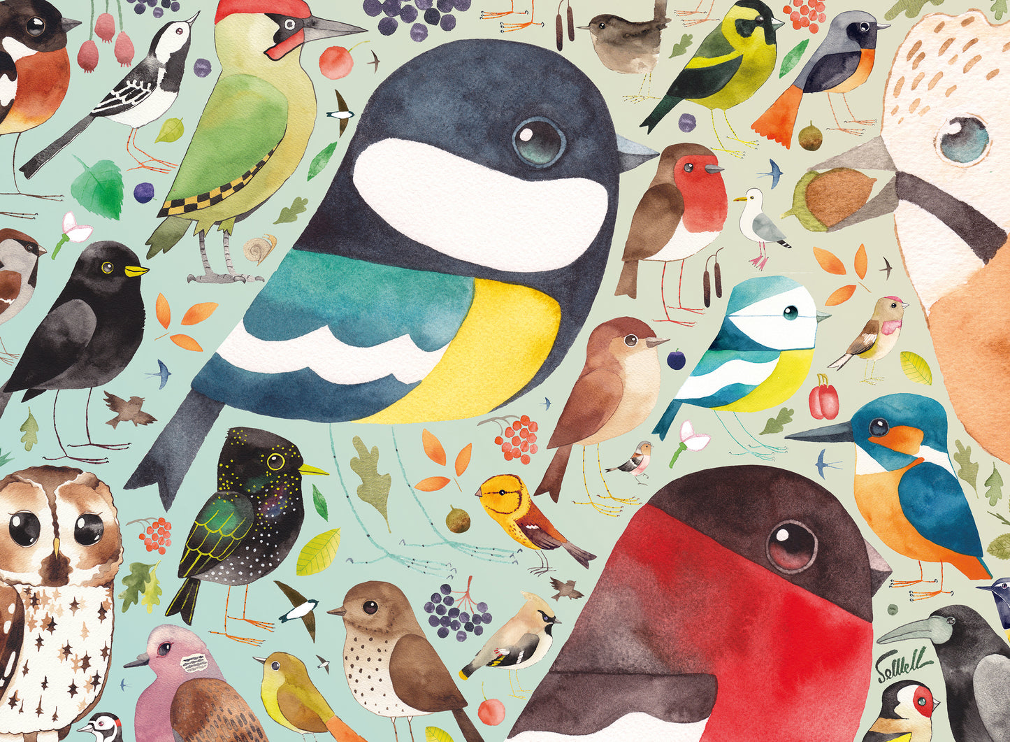 Ravensburger Our British Birds 500pc Jigsaw Puzzle