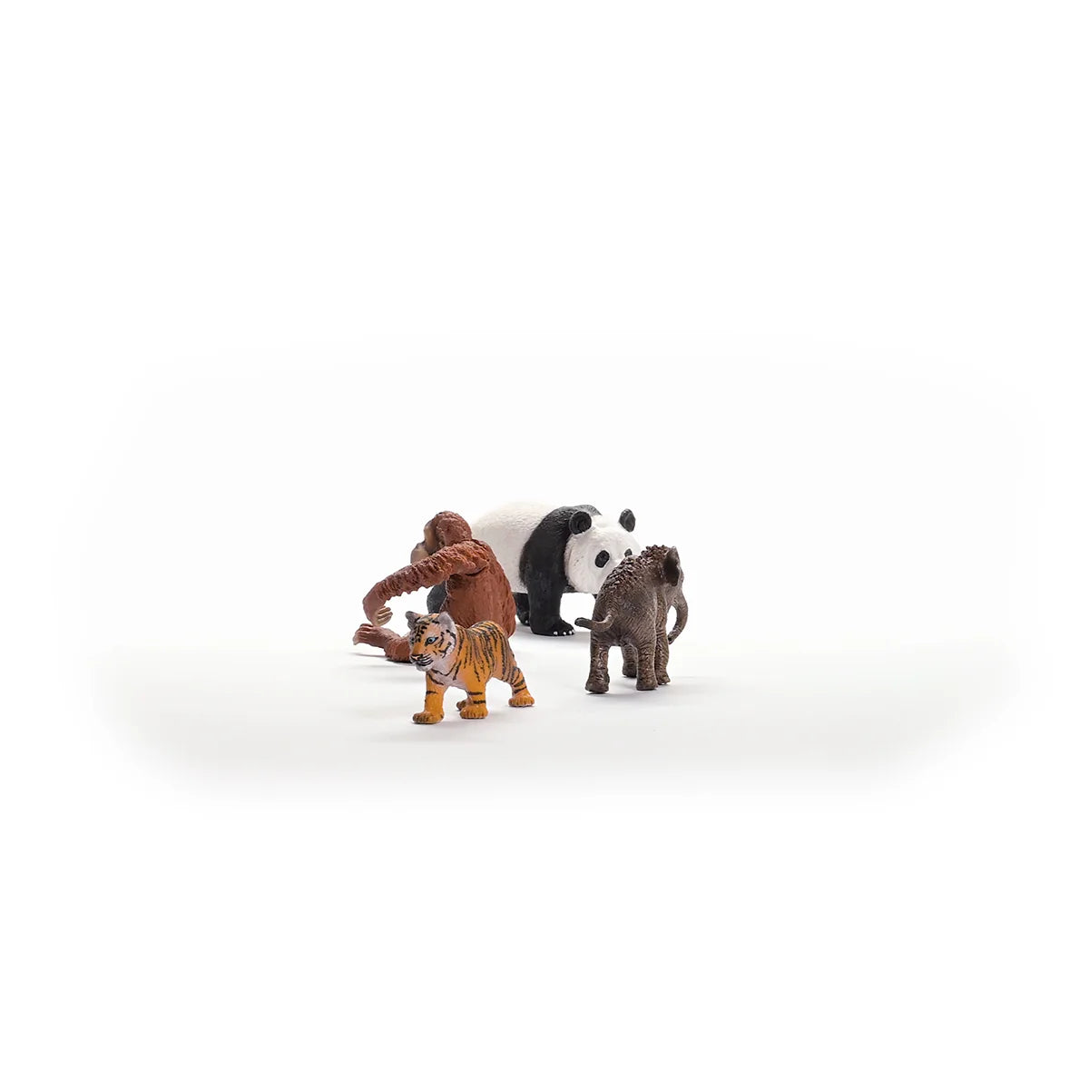 Schleich Wild Life "Asia" Starter Set