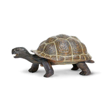 Safari Tortoise Baby