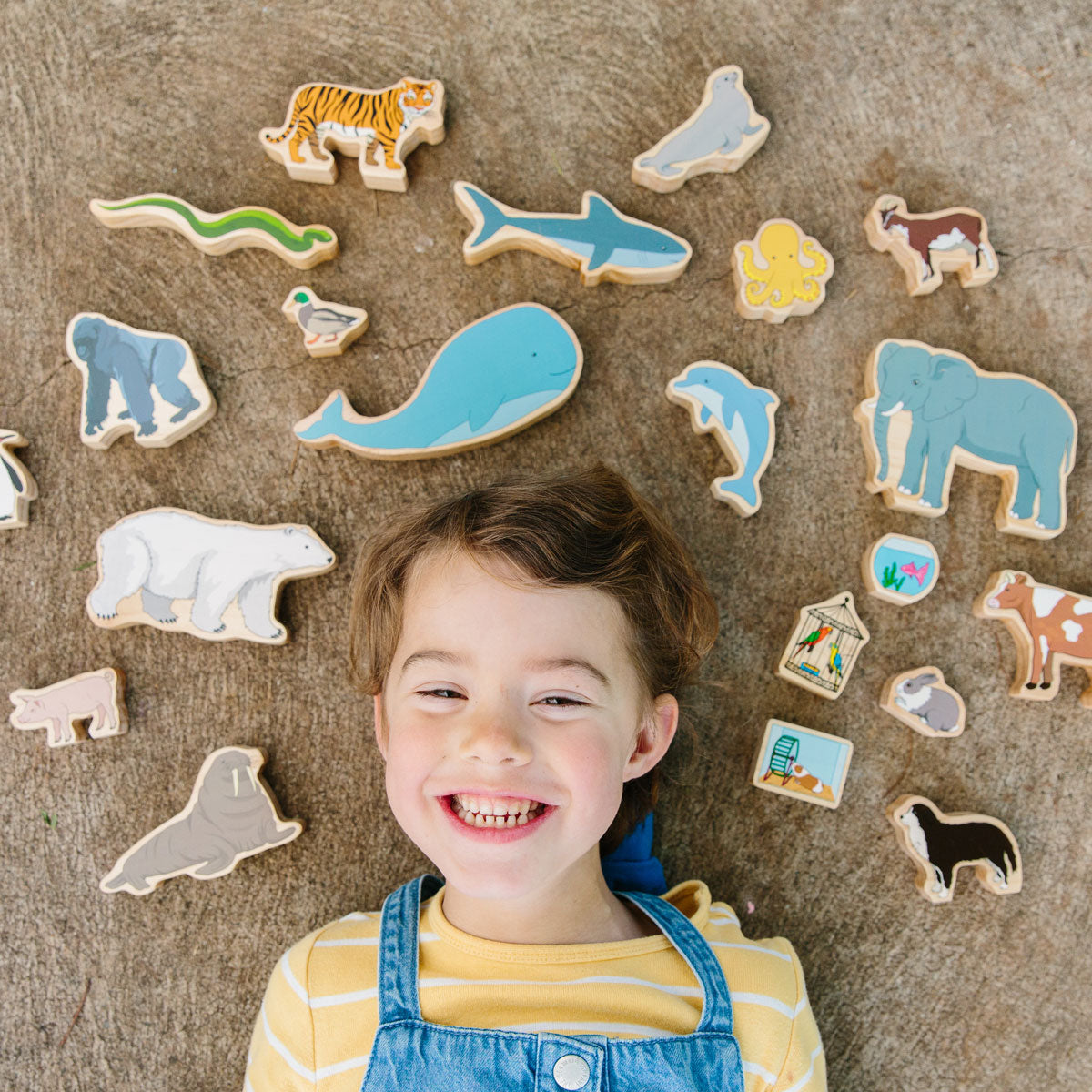 The Freckled Frog Happy Architect Animals in their Habitat
