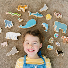 The Freckled Frog Happy Architect Animals in their Habitat