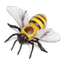 Safari Honey Bee