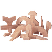 PlanToys Unit Block Set