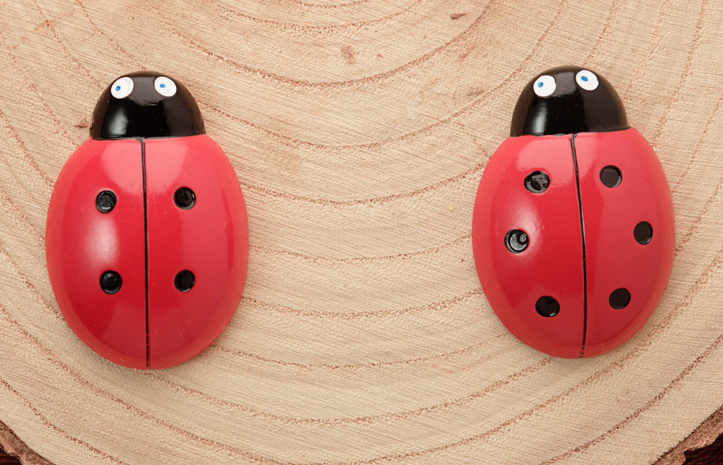 Yellow Door Ladybug Counting Stones