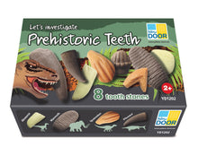 Yellow Door Let's Investigate – Prehistoric Teeth