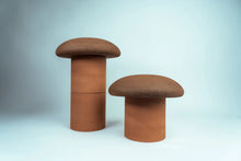 Moes Forest Collection Mushrooms