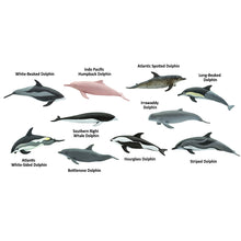 Safari Toob Dolphins (10 Pieces)