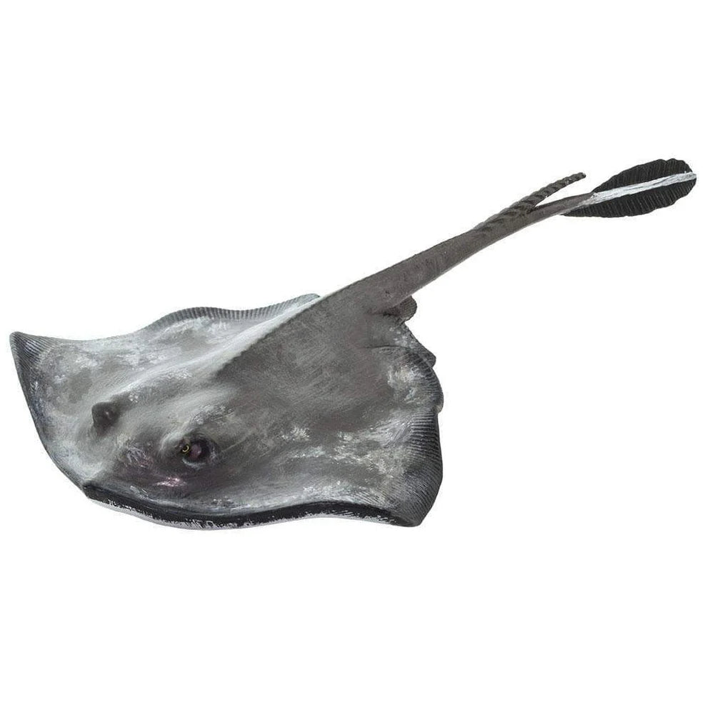 Safari Sting Ray