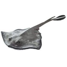 Safari Sting Ray