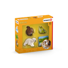 Schleich Schleich Wild Life Flash Cards