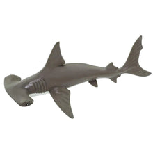 Safari Hammerhead Shark Baby