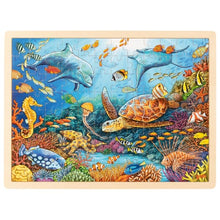 Goki Great Barrier Reef