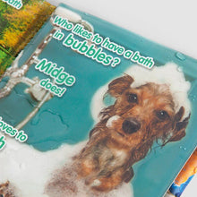 Tractor Ted Who Likes a Magic Bath Book