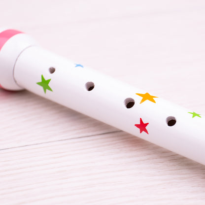 BigJigs Recorder (1 Chosen at Random)