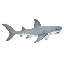 Safari Great White Shark-S275029