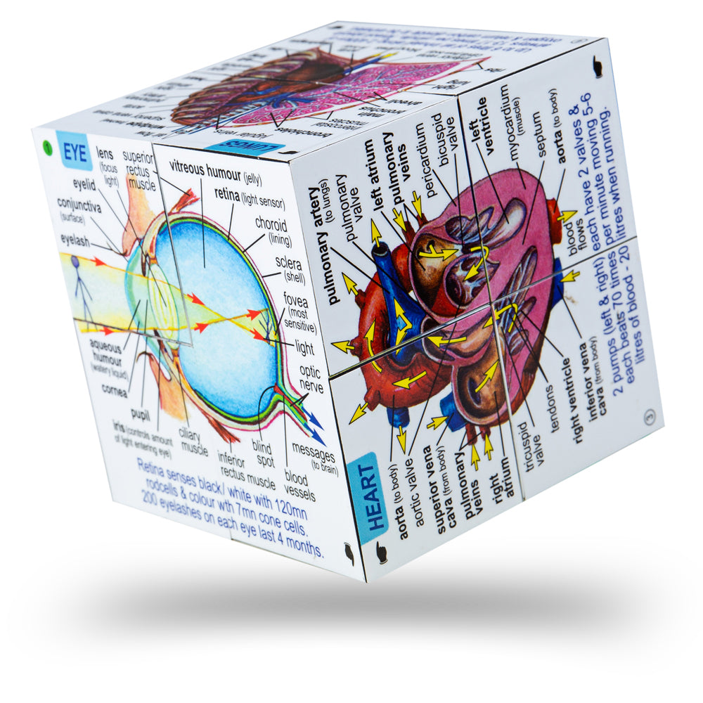 ZooBooKoo Human Body Cube Book