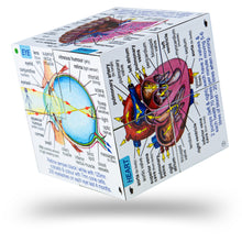 ZooBooKoo Human Body Cube Book