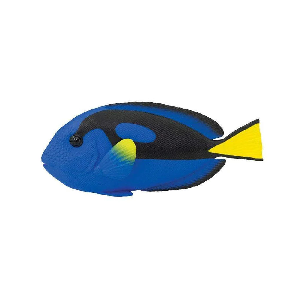 Safari Blue Tang