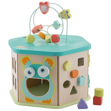 Sevi Hexagonal Activity Cube