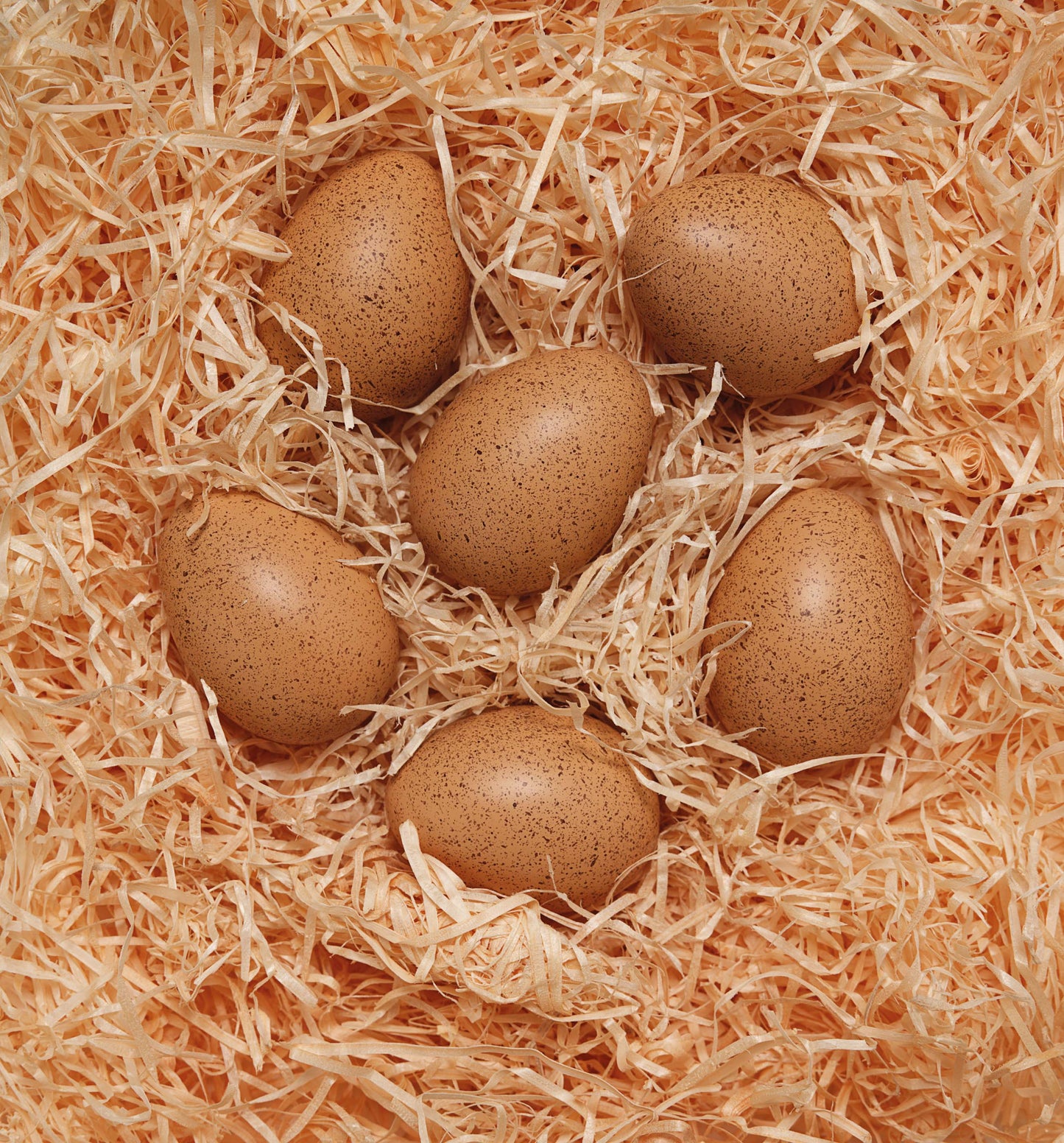 Yellow Door Sensory Sound Eggs