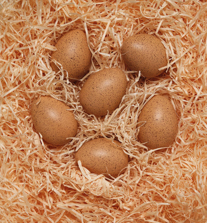 Yellow Door Sensory Sound Eggs