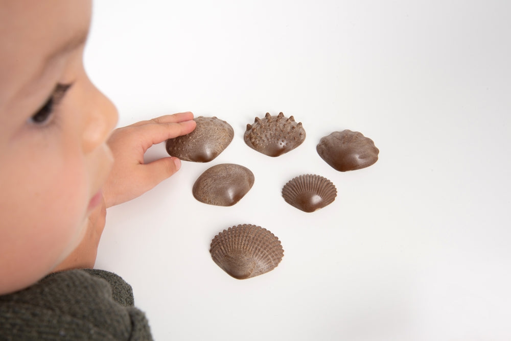 Edx Education Eco Friendly Tactile Shells