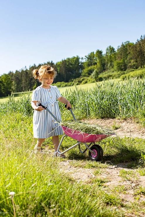 Rolly Metal Wheelbarrow - Pink