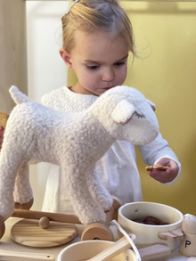 Egmont Toys Pull-Along Mary Lamb
