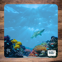 Duffy&Porter Sealife Play Scene