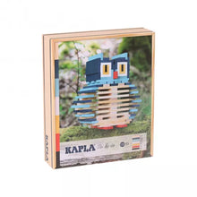 Kapla Owl Case